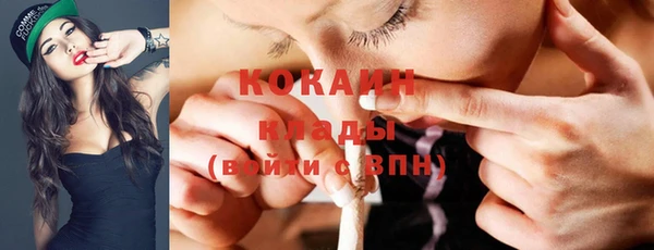 кокс Алексин