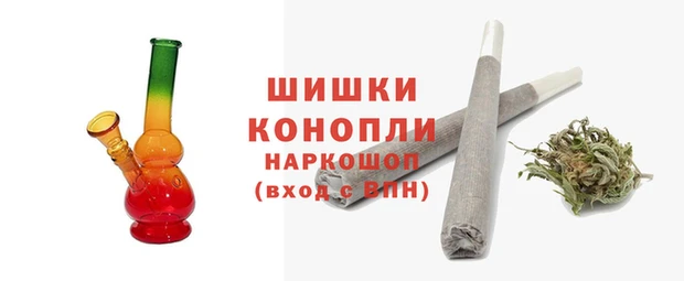 шишки Алзамай