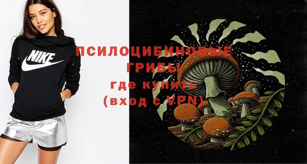 шишки Алзамай