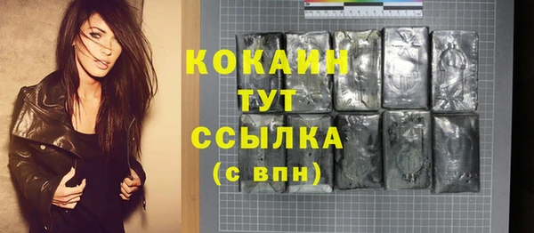 кокс Алексин