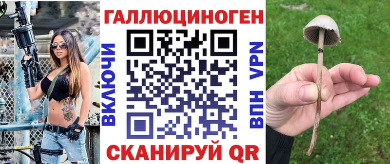 сколько стоит  Полярные Зори  Галлюциногенные грибы MAGIC MUSHROOMS 