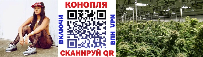 Конопля семена  сайты даркнета формула  Полярные Зори 